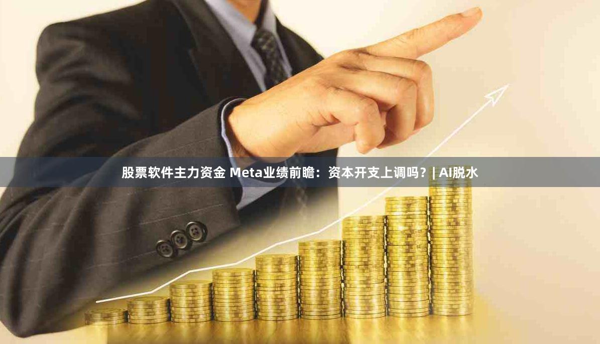 股票软件主力资金 Meta业绩前瞻：资本开支上调吗？| AI脱水