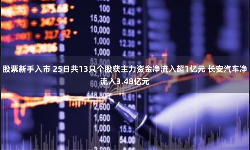 股票新手入市 25日共13只个股获主力资金净流入超1亿元 长安汽车净流入3.48亿元