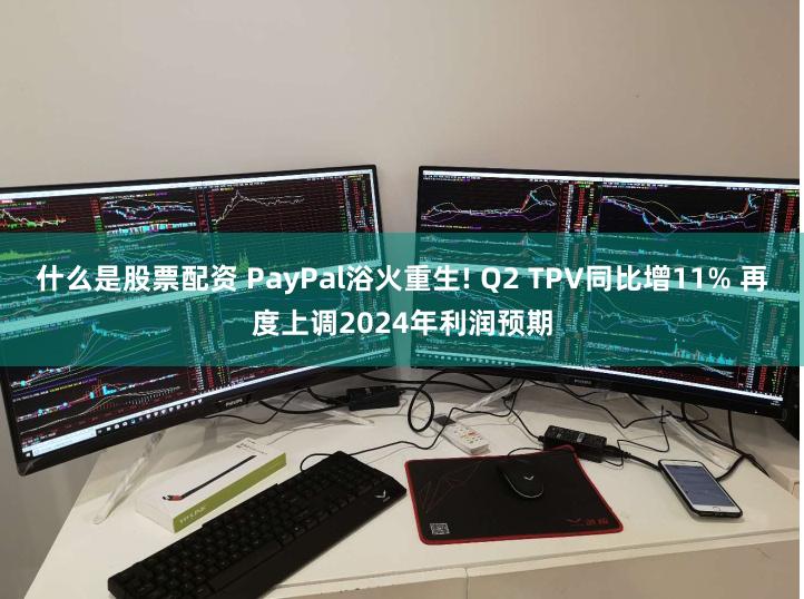 什么是股票配资 PayPal浴火重生! Q2 TPV同比增11% 再度上调2024年利润预期