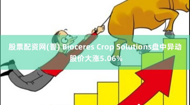 股票配资网(晋) Bioceres Crop Solutions盘中异动 股价大涨5.06%